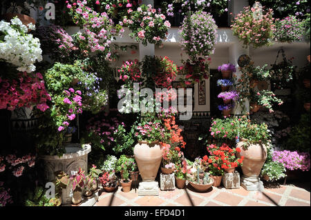 Cortile durante il Festival dei Patios (el Festival de Los Patios Cordobeses), Cordoba, Spagna Foto Stock