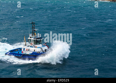 Un rimorchiatore a traino combattendo le onde nel porto di Kusadasi, Turchia, Eurasia. Foto Stock