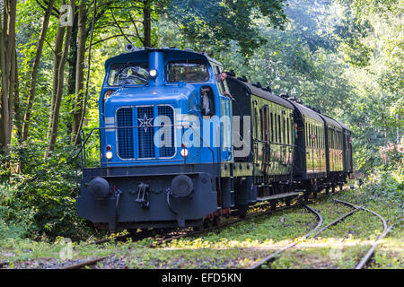 Il 'Hespertalbahn', la storica miniera di carbone, il vapore e il treno Diesel lungo il fiume Ruhr, lago Baldeneysee, oggi una attrazione turistica Foto Stock