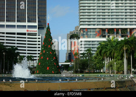 Albero di natale in Bayfront Park, centro cittadino di Miami, Florida, Stati Uniti d'America Foto Stock