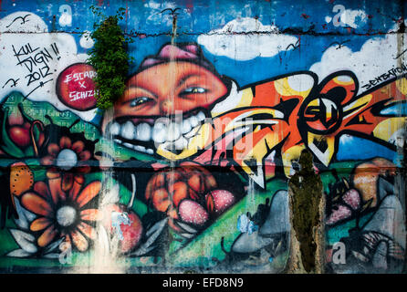 Arte di strada / Graffiti a Sungai Klang galleria d'arte per il pubblico, lungo le rive del fiume Klang, Chinatown, Kuala Lumpur Foto Stock