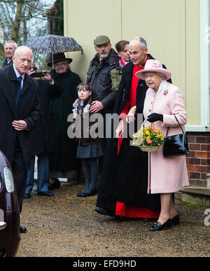 West Newton, Norfolk. Il 1° febbraio 2015. Credito: Ian Ward/Alamy Live News Foto Stock