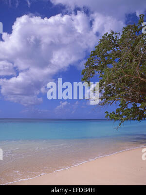 Spiaggia di legno scuro, Saint Mary's Parish, Antigua Antigua e Barbuda, Piccole Antille, dei Caraibi Foto Stock