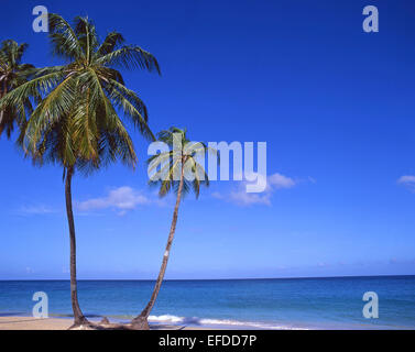 Tropical Beach, Grand Anse Bay, Saint George parrocchia, Grenada, Piccole Antille, dei Caraibi Foto Stock
