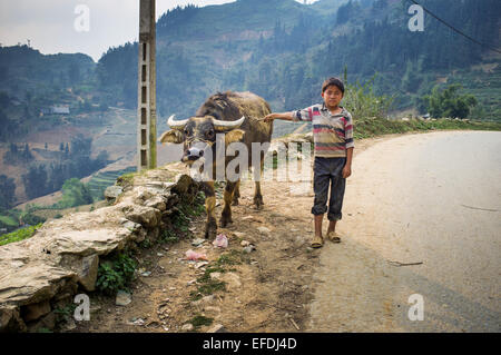 Ragazzo con buffalo sulla strada, il Vietnam Asia Foto Stock