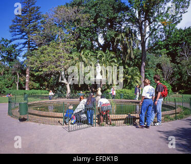 Thorne fontana nel giardino pubblico, la società del giardino, Cape Town, Provincia del Capo occidentale, Repubblica del Sud Africa Foto Stock