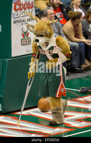 Milwaukee, WI, Stati Uniti d'America. 31 gennaio, 2015. Milwaukee Bucks mascotte Bango intrattiene la folla durante il gioco NBA tra il Portland Trail Blazers e il Milwaukee Bucks a BMO Harris Bradley Center di Milwaukee, WI. Bucks sconfitto il Trail Blazers 95-88. John Fisher/CSM/Alamy Live News Foto Stock