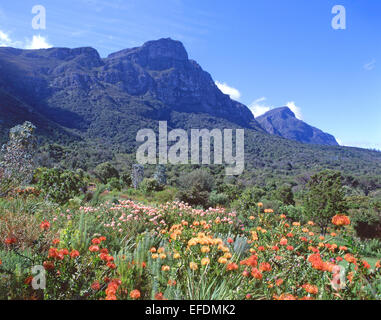 Kirstenbosch National Botanical Garden ai piedi di Table Mountain e Cape Town, Provincia del Capo occidentale, Repubblica del Sud Africa Foto Stock