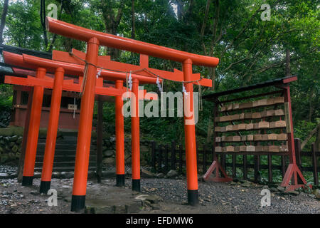 Rosso brillante Torii gates e ema placche, Kunozan Tosho-go-sacrario scintoista, Shizuoka, Giappone Foto Stock