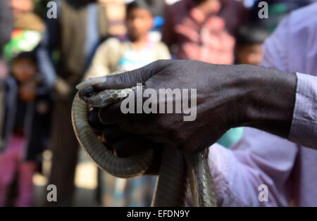 Il serpente incantatore e attivista Sig. Mal che mostra il suo serpente trucco e guadagnare il suo sostentamento in un villaggio vicino mercato Berachampa in Bengala Occidentale. © Saikat Paolo/Pacific Press/Alamy Live News Foto Stock