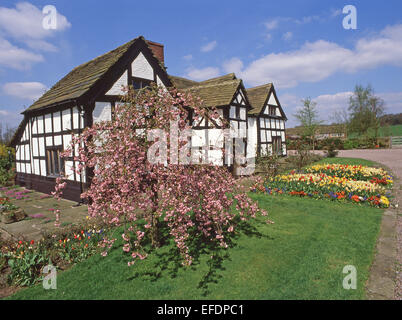 La struttura di legno Hayman House, Alderley Edge, Cheshire, Inghilterra, Regno Unito Foto Stock