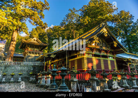 Al Santuario di Toshogu a sunrise, Nikko, Giappone. Foto Stock