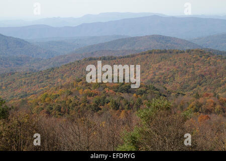 Vista panoramica che si affaccia sulla pittoresca Monti Appalachi vestito con i colori autunnali, Max Patch, Carolina del Nord Foto Stock