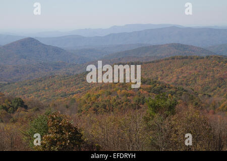 Vista panoramica che si affaccia sulla pittoresca Monti Appalachi vestito con i colori autunnali, Max Patch, Carolina del Nord Foto Stock