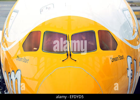 Singapore. 2° febbraio 2015. Foto scattata nel Febbraio 2, 2015 mostra Singapore's Scoot 'Dream Start' Boeing B787 Dreamliner in arrivo al Terminal 1 dell'Aeroporto Changi di Singapore. Scoot celebrato l arrivo del suo primo Boeing B787 Dreamliner aereo a Singapore il lunedì. © poi Chih Wey/Xinhua/Alamy Live News Foto Stock