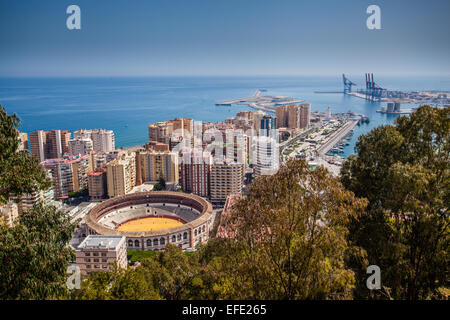 Malaga Skyline Bullring porto e mare mediterraneo, basso orizzonte azzurro del cielo e del mare, incorniciato da alberi Foto Stock