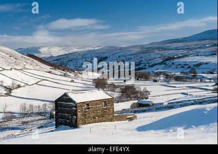 Tradizionale di pietra fienili in Swaledale superiore dopo una tempesta di neve, Yorkshire Dales, UK. Foto Stock