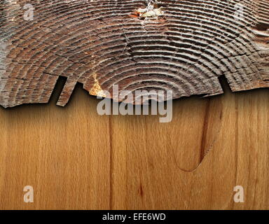 Interessante di legno combinato con texture con vecchio albero moncone e piallaccio Foto Stock