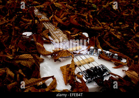 Una chitarra basso in foglie di autunno Foto Stock