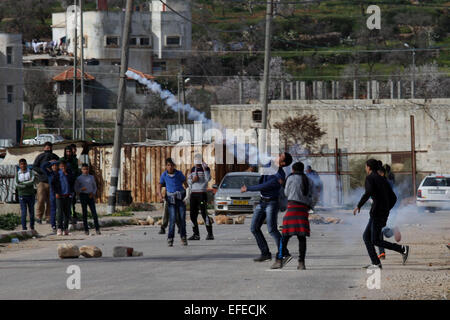Nablus, West Bank città di Nablus. 2° febbraio 2015. Un manifestante palestinese scaglia torna a strappare-bombola del gas sparato dai soldati israeliani durante scontri nei pressi di insediamento ebraico di Majdolim, vicino al villaggio di Qusra, sud della Cisgiordania città di Nablus, nel febbraio 2, 2015. Testimoni ha detto che gli abitanti di un villaggio palestinese ha chiuso la strada principale per la liquidazione dopo i militari israeliani hanno distrutto due camere agricole e un pozzo di mancare di permessi di costruzione. © Nidal Eshtayeh/Xinhua/Alamy Live News Foto Stock