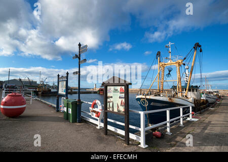 Buckie Harbour, Moray Firth, regione delle Highlands della Scozia Foto Stock