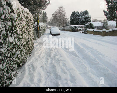 Strada di deriva, Whitehill, Bordon, Hampshire, Inghilterra coperto di neve a partire dal 2009. Foto Stock