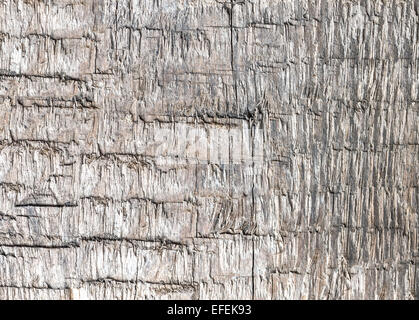 Vecchio weathered ruvida sfondo di legno o una texture. Foto Stock