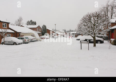 Argyle vicino, Whitehill, Bordon, Hampshire, Inghilterra coperto di neve a partire dal 2009. Foto Stock