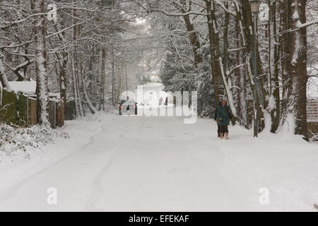 Strada forestale, Whitehill, Bordon, Hampshire, Inghilterra coperto di neve a partire dal 2009. Foto Stock