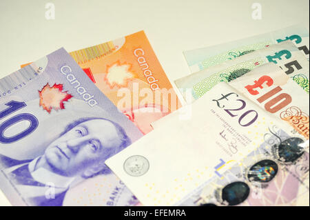 British Pound note, Dollaro Canadese note e Euro europeo constata fotografati contro uno sfondo bianco. Foto Stock