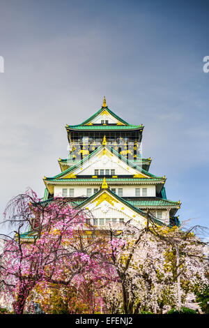 Osaka in Giappone presso il Castello di Osaka in primavera. Foto Stock