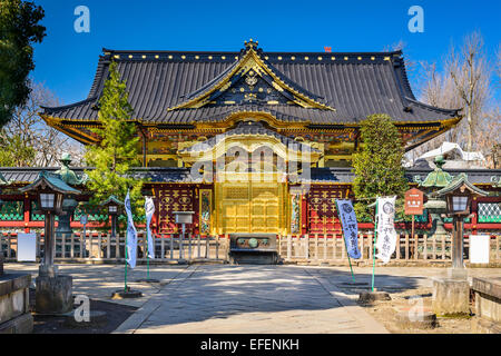 Al Santuario di Toshogu nel Parco di Ueno a Tokyo in Giappone. Foto Stock