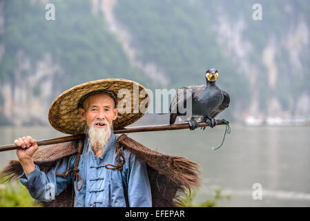 Cormorano pescatore e il suo uccello sul fiume Li in Yangshuo, Guangxi, Cina. Foto Stock
