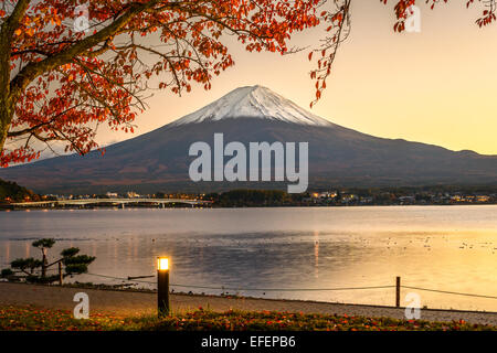 Mt. Fuji con fogliame di autunno al Lago Kawaguchi in Giappone. Foto Stock