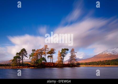 Alcuni splendidi resti di vecchi Caledonian foresta può essere trovato attorno a Loch Tulla, anche su questa piccola isola sul Loch. Foto Stock