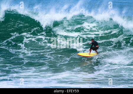 Un maschio surfer cavalca un grande onda a Sandon Point, Bulli, NSW, Australia. Foto Stock