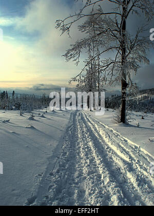 Inverno percorso pedonale in montagna con alberi - in Beskid Slaski vicino Malinowska Skala (Polonia) Foto Stock