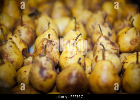 Appena raccolto le pere in fila sul mercato degli agricoltori. Un mucchio di golden brown pere close up Foto Stock