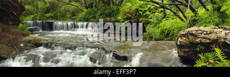 Cascate e rapide sulla Jamison Creek di Wentworth Falls nelle Blue Mountains, NSW, Australia. Foto Stock