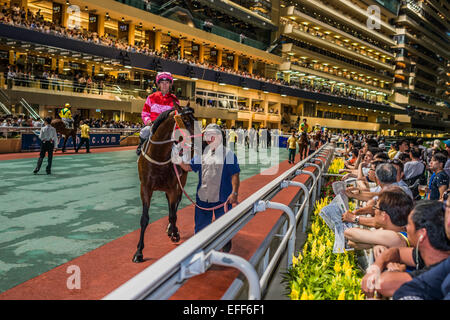 Hong Kong Cina- Giugno 5, 2014: corsa di cavalli a Happy Valley racecourse Foto Stock