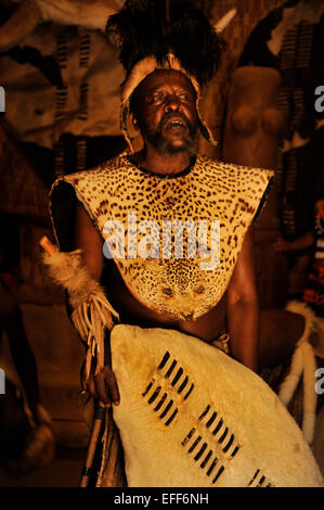 Persone, anziano adulto, capo Zulu, Headdress e leopardo abito cerimoniale pelle, scudo bianco, Shakaland villaggio a tema, KwaZulu-Natal, Sud Africa Foto Stock