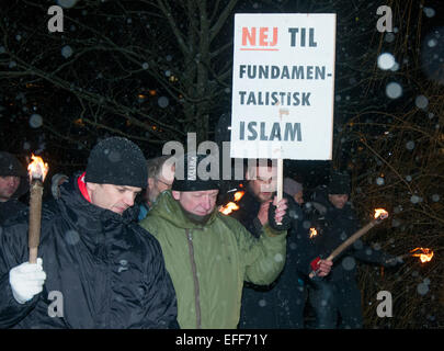 Gli attivisti danese brandendo torce ha preso per le strade di Copenaghen il 2 febbraio 2015 marciare contro l islam radicale. Foto Stock