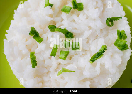 Farinata di Riso pudding sulla piastra verde Foto Stock