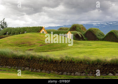 Tappeto erboso belle case in Glaumbaer in Islanda Foto Stock