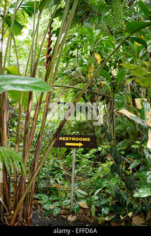 Stati Uniti d'America, Hawaii, Big Island, Papaikou, direzione segno nella foresta di pioggia Foto Stock