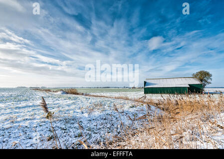 Sutton Gault Cambridgeshire, Regno Unito. 3 febbraio, 2015. 3 febbraio 2015 vicino Mepal, Cambridgeshire Regno Unito. Una leggera coltre di neve copre il piatto Cambridgeshire Fen il paesaggio è sotto grandi cieli wintery come temperature è scesa a meno 2 gradi centigradi per tutta la notte. Il freddo è destinato a proseguire con più neve docce nei prossimi giorni come arctic aria fluisce oltre il Regno Unito da nord. Credito Eales Julian/Alamy Live News Foto Stock