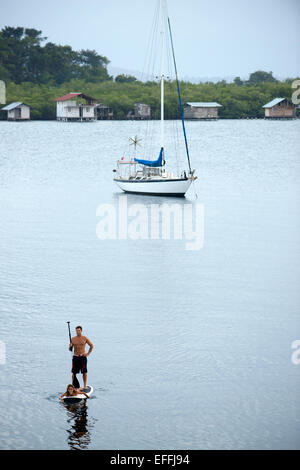 Paddle surf in Bocas del Toro, Panama. Non è stato molto tempo fa che Panama dell arcipelago Caraibico, Bocas del Toro, era nascosto, ni Foto Stock