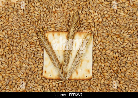 Spighe di grano su un biscotto circondato da chicchi di grano Foto Stock