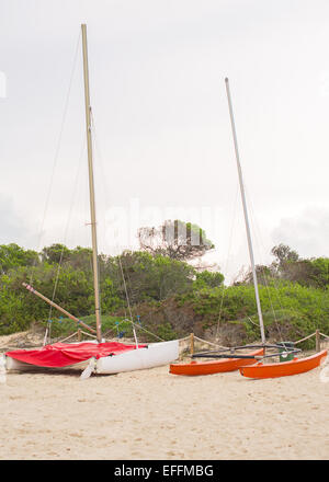 Due barche sulla spiaggia tropicale. Foto Stock