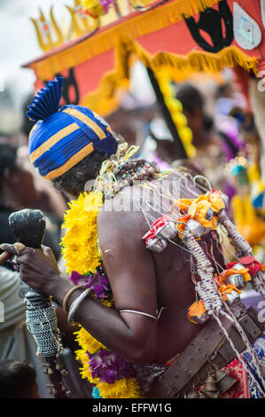 Uomo indù con piccoli bicchieri di latte appeso fuori la sua schiena fissati con ganci durante Thaipusam 2015 in Grotte Batu Foto Stock